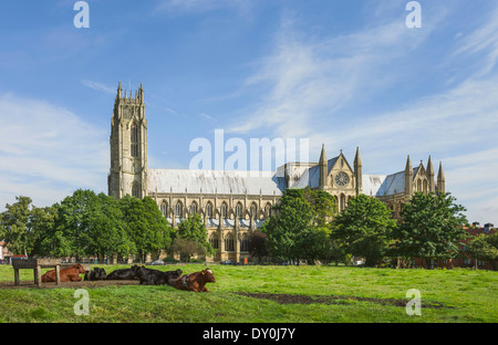 Die alten 13. Jahrhundert Beverley Minster auf ein schöner sonniger Morgen im East Riding of Yorkshire. Stockfoto