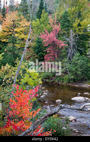 Die Ausable River im frühen Herbst, östlich von Lake Placid, New York. Stockfoto