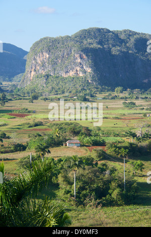 Vinales Tal Kuba Stockfoto