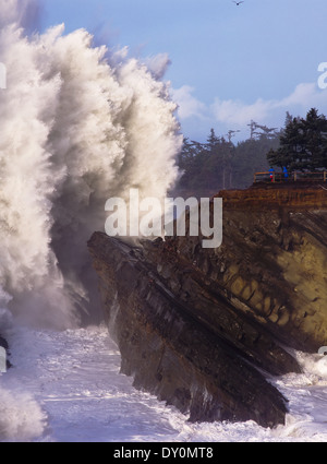 Hohe Brandung bricht im Shore Acres State Park; Charleston, Oregon, Vereinigte Staaten von Amerika Stockfoto
