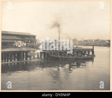 Reinigung der Werfer aus Ansichten, die während der Reinigungsarbeiten, Quarantänegebiet, Sydney, 1900, Vol. II / unter der Aufsicht von Herrn George McCredie, F.I.A., N.S.W. aufgenommen von John Degotardi Jr. Stockfoto