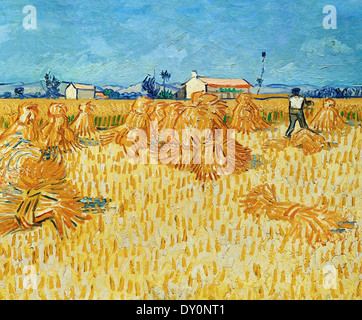 Vincent Van Gogh-Ernte in der Provence Stockfoto