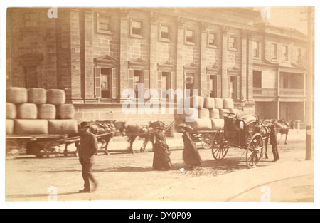 Eine Straßenszene aus Sydney, die der Fotograf Arthur K. Syer um 1885–1890 aufgenommen hat und das tägliche Leben in der Stadt während dieser Zeit zeigt. Das Foto gibt einen Einblick in Sydneys Stadtentwicklung im späten 19. Jahrhundert. Stockfoto
