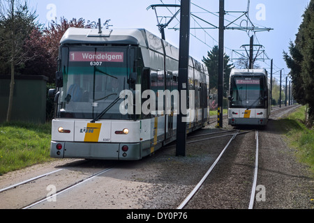 Zwei Straßenbahnen der flämischen Transportunternehmen De Lijn / Vlaamse Vervoersmaatschappij De Lijn in Belgien Stockfoto