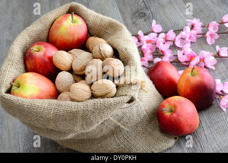 Plünderung Nuss und rote Äpfel mit Blumen Stockfoto