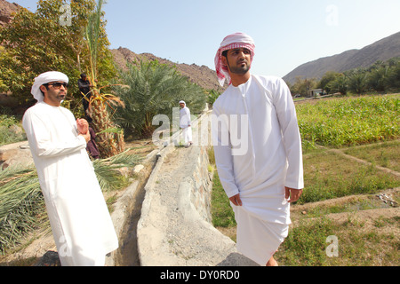 Harrah, Dorf, Bauernhof, Landwirtschaft, Ras al-Khaimah, Vereinigte Arabische Emirate Stockfoto