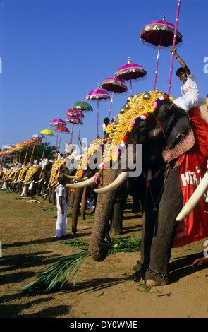 Elefanten Tivandrum Pooram Festivals. Bundesstaat Kerala. Süd-Indien. Stockfoto