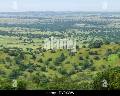 sonnigen Luftaufnahme des Kabwoya Wildlife Reserve in Uganda (Afrika) Stockfoto