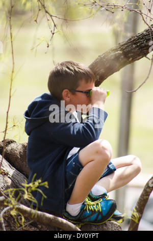 junge Vögel beobachten mit dem Fernglas Stockfoto