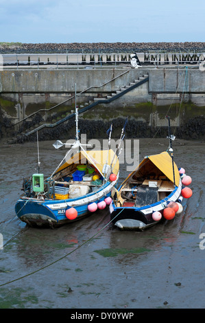 Inshore Fischerei Cobles im Sicherheit Hafen im Tölt in der Nähe von Warkworth Northumberland England Vereinigtes Königreich UK Stockfoto