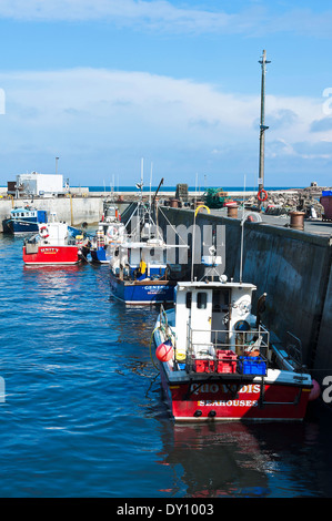 Bunten Fischen und Farne Insel Ausflugsschiffe in den sicheren Hafen der gemeinsame Hafen Northumberland England Großbritannien Stockfoto