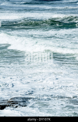 Weiße Pferde auf eine cremige suchen Nordsee mit Wellen in der Nähe von Budle Bay Northumberland England Vereinigtes Königreich UK Stockfoto