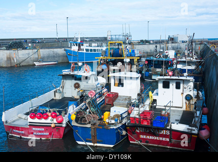 Bunten Fischen und Farne Insel Ausflugsschiffe in den sicheren Hafen der gemeinsame Hafen Northumberland England Großbritannien Stockfoto