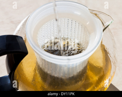 grünen Tee machen im Glas Teekanne mit kochendem Wasser Stockfoto