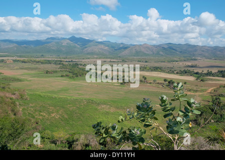 Tal der Zuckermühlen, Trinidad, Kuba. Stockfoto