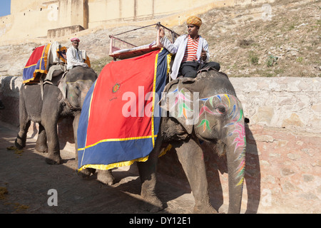 Amber, Rajasthan, Indien, Elefantenreiten im Amber Fort-Palace Stockfoto