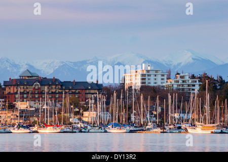 Oak Bay Marina und Olympic Mountains im Hintergrund bei Dämmerung-Victoria, British Columbia, Canada. Stockfoto