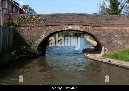 Alle Heiligen Straßenbrücke, Grand Union Canal, Warwick, UK Stockfoto