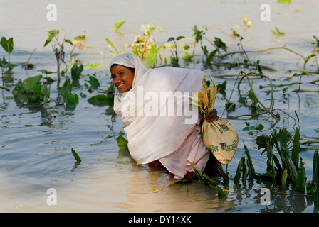 Bangladesch Distrikt Bagerhat, Zyklon Sidr und Flut zerstören Dörfer im Süden Khali, Fluss Balaswar, die Verteilung der Hilfsgüter an die betroffenen Menschen in den Dörfern, Mädchen im Wasser waten mit Taschen mit Hilfsgütern Stockfoto