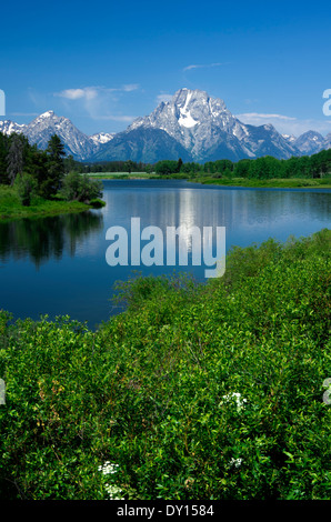 Blick von Teton Bergkette und Mt. Moran Oxbow Bend Wahlbeteiligung an der Park road Stockfoto