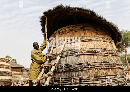 NIGER Zinder, Dorf Zongon Soumaguela, Menschen Hirse in Lagern gebaut Lagersilo für Dürre und Hungersnot vorbereitet zu sein Stockfoto