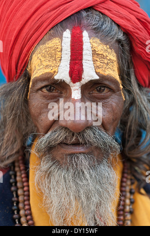 Udaipur, Rajasthan, Indien. Porträt von Sadhu Stockfoto