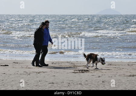 Paare, die ihren Hund am Strand in Prestwick, Schottland, Vereinigtes Königreich Stockfoto