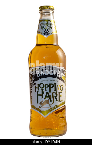 Eine Flasche Bier Hopping Hare. Stockfoto