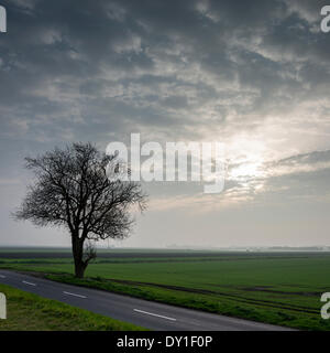 Ely, Großbritannien. 3. April 2014. Die Sonne kämpft ein Staub beladene Himmel kurz nach Sonnenaufgang in der Nähe von Ely in Cambridgeshire Fens 3. April 2014 durchscheinen. Der Dunst verursacht durch Wettersysteme verschmutzten Luft aus Europa und Staub aus der Sahara bringen. Besonders auffällig war in der flachen Landschaft der Fens. Atlantik Wetter wird festgelegt, um die Atmosphäre von morgen zu erfrischen. Bildnachweis: Julian Eales/Alamy Live-Nachrichten Stockfoto