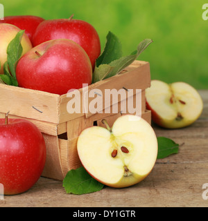 Frisch geerntete Äpfel mit Blättern in einer Holzkiste Stockfoto