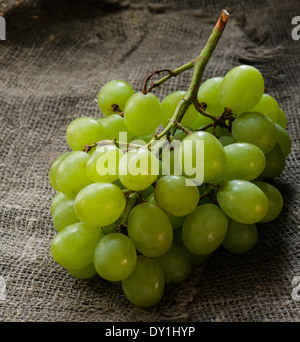 Frische grüne Trauben über rustikale Hintergrund, selektiven Fokus Stockfoto