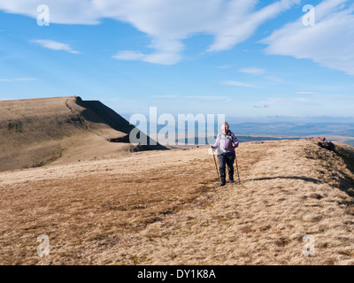 Eine weibliche Hügel Walker auf Fan Hir im Hinblick auf die Fan Brycheiniog erhebt sich über Bwlch Giedd - Black Mountain/Carmarthen Fan Stockfoto