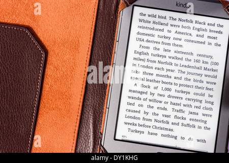 Die vierte Generation Amazon Kindle e-Book Reader in einer schützenden Imitation Leder Fall. Stockfoto