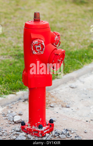 Red Fire Hydrant steht am Straßenrand mit grünen Rasen auf einem Hintergrund Stockfoto