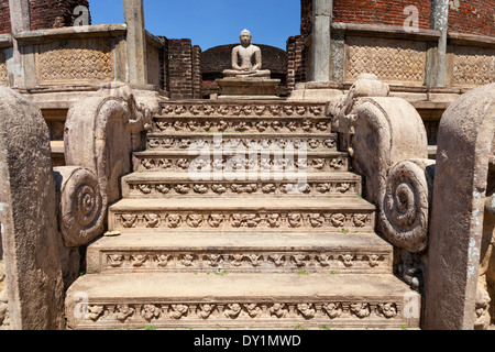 Einer der Buddhas der Vatadage in Polunnawara, Sri Lanka, 10 Stockfoto