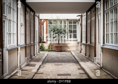 Olivenbaum am Ende der Gasse in der Nähe von Faubourg Saint Antoine, Paris, Frankreich Stockfoto