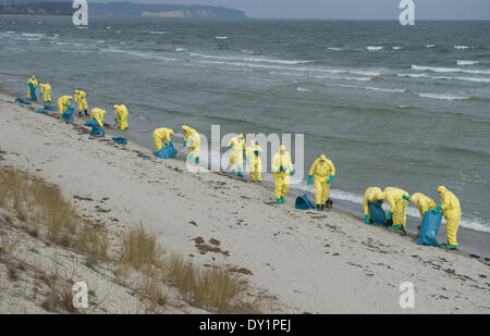 Mitarbeiter der deutschen Bundesanstalt für technische Hilfe (THW) sammeln Klumpen von Öl auf Rügen Insel am Strand zwischen Lobbe und Thiessow, Deutschland, 3. April 2014. Auf der Insel Rügen ist die Küste südlich von Sellin nach Thiessow besorgt; auf der Insel Usedom ist der Norden-Abschnitt zwischen Peenemünde und Zinnowitz verschmutzt. Foto: Stefan Sauer/dpa Stockfoto