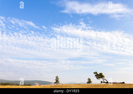 Landschaft der Insel Olchon, Baikalsee, Sibirien, Russland Stockfoto