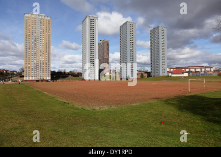 Red Road, Glasgow, Hochhäuser am Petershill Drive, Balornock, Schottland, Großbritannien Stockfoto