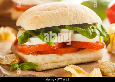 Hausgemachte Bio Caprese Sandwich mit Tomaten, Mozzarella und Basilikum Stockfoto