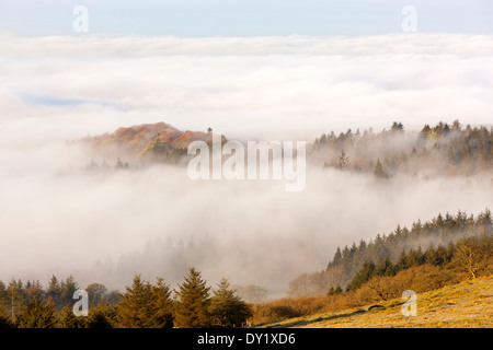 Blick über nebligen Burrator Reservoir aus Leder Tor, Dartmoor National Park, Sheepstor, West Devon, England, UK, Europa. Stockfoto