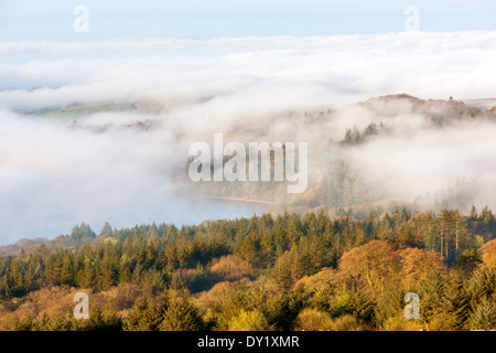 Blick über nebligen Burrator Reservoir aus Leder Tor, Dartmoor National Park, Sheepstor, West Devon, England, UK, Europa. Stockfoto