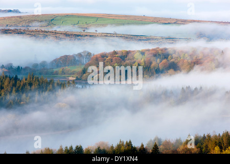 Blick über nebligen Burrator Reservoir aus Leder Tor, Dartmoor National Park, Sheepstor, West Devon, England, UK, Europa. Stockfoto