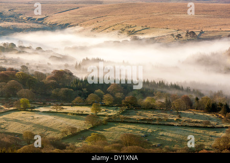 Nebligen Morgen, Dartmoor National Park, Sheepstor, West Devon, England, UK, Europa. Stockfoto