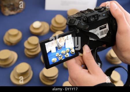 Schkeuditz, Deutschland. 3. April 2014. Beschlagnahmten Elfenbein wird von einem Journalisten auf einer Pressekonferenz der zentrale Zollstelle Dresden am Flughafen Flughafen Leipzig/Halle in Schkeuditz, Deutschland, 3. April 2014 fotografiert. Im vergangenen Jahr die Zollstelle befasste sich mit 3,1 Millionen Abstände und 292 Kilo Drogen unter anderem beschlagnahmt. Foto: Hendrik Schmidt/Dpa/Alamy Live News Stockfoto