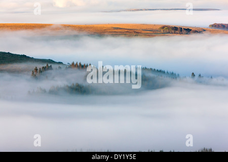 Blick über nebligen Burrator Stausee von Sharpitor, Dartmoor National Park, Sheepstor, West Devon, England, UK, Europa. Stockfoto