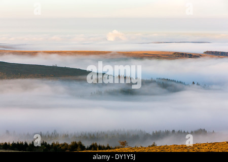 Blick über nebligen Burrator Stausee von Sharpitor, Dartmoor National Park, Sheepstor, West Devon, England, UK, Europa. Stockfoto