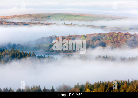 Blick über nebligen Burrator Reservoir aus Leder Tor, Dartmoor National Park, Sheepstor, West Devon, England, UK, Europa. Stockfoto