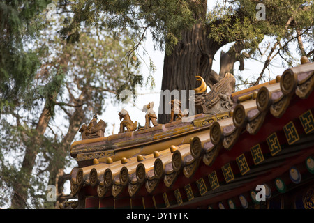 Peking CHINA Detail verbotene Stadt Imperial Dach Dekoration der höchste Status auf dem Dachfirst der Hall der obersten Har Stockfoto