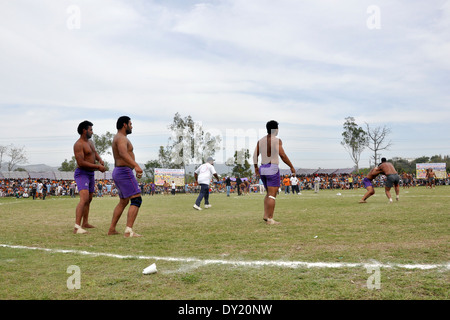 Indien, Punjab, Anadphur, Spott, kämpfen Stockfoto